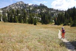 Hong at the meadow [sat aug 23 10:10:40 mdt 2025]